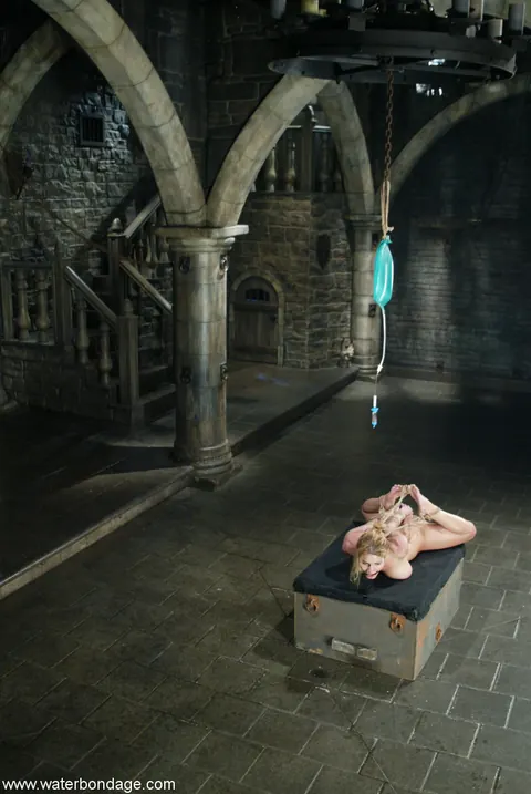 Jenny Lee: Skinny Brunette MILF Bound in Water Bondage – photo 21 of 21