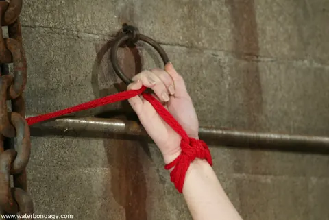 Chanta Rose: Short-Haired Blonde in Bondage Gets Her Hairy Pussy Licked – photo 1 of 21