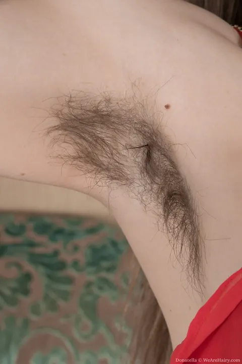 Hairy Brunette in Stockings Spreads Her Bush – photo 3 of 20