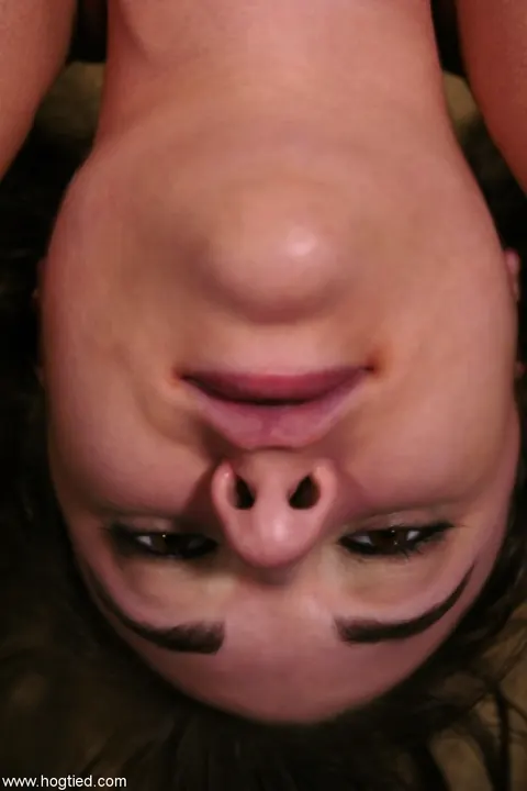 Sasha Grey: Slim Hairy Brunette in Pigtails Fucks Herself with a Dildo Upside Down – photo 2 of 20