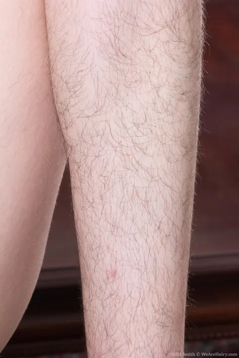 Silki Smith: Brunette in a Dress Toys Her Hairy Bush with a Dildo – photo 14 of 21