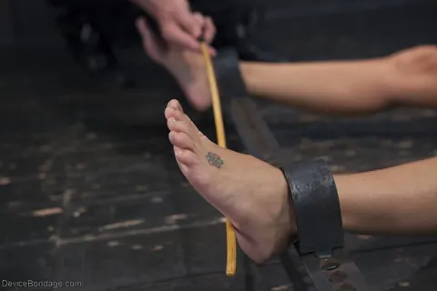 India Summer: Tattooed Mature Brunette in Glasses Takes a Dildo While Restrained – photo 4 of 20