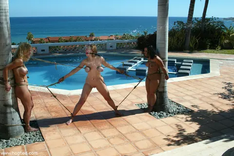 Dee Williams: Blonde MILFs Bound and Dominated Poolside in Group BDSM – photo 16 of 21