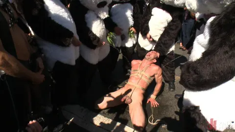 Bound Men Suck Cock and Fuck Doggy Style in Public – photo 6 of 15