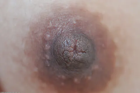 Jhenny: Thick Thai Brunette Flashes Black Panties and Spreads Her Hairy Pussy – photo 16 of 16