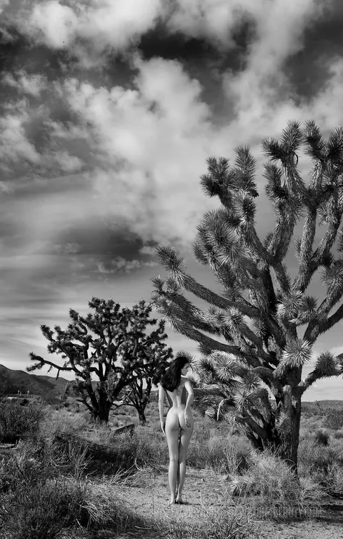 Woman Undresses and Poses Fully Nude in Glamour Style – photo 16 of 20