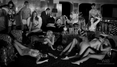 Woman Undresses and Poses Fully Nude in Glamour Style – photo 14 of 20