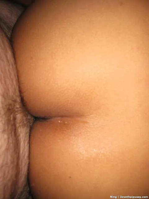 Thick Asian Babe with Hairy Pussy Takes Anal Doggy Style – photo 9 of 16
