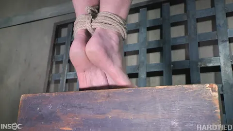 Dee Williams: Busty Blonde MILF Bound with Rope and Breasts Tied – photo 12 of 14