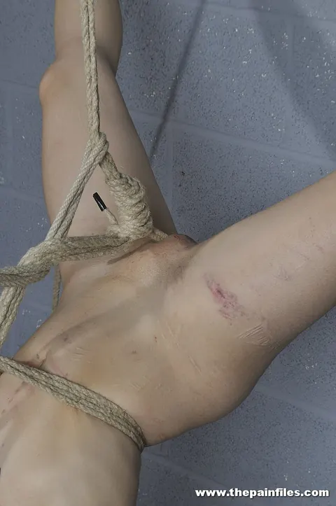 Mei Mara: Asian Brunette with Short Hair Suspended Upside Down in Rope Bondage – photo 16 of 16