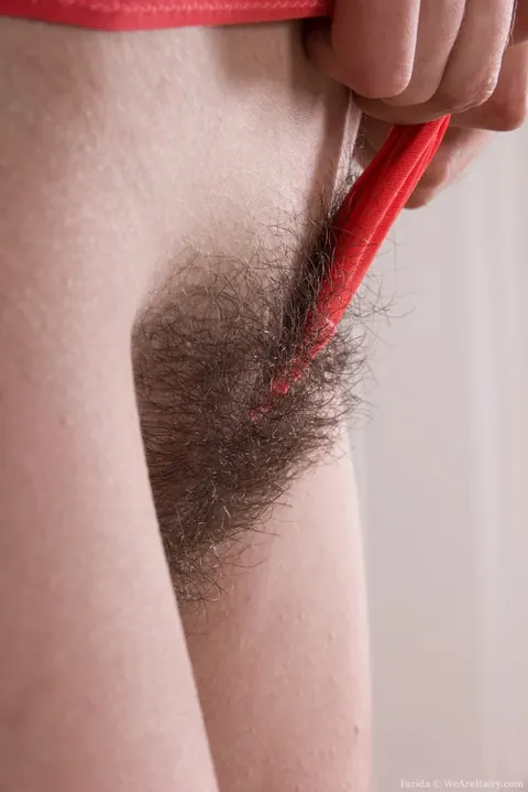 Farida: Brunette in Panties Fingers Her Hairy Pussy and Uses a Dildo – photo 7 of 16