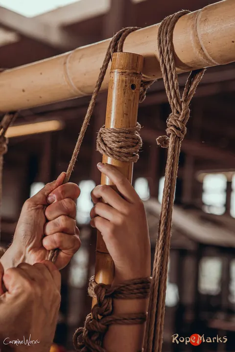 Woman with Pigtails Suspended in Bondage on Bamboo Pole – photo 7 of 16