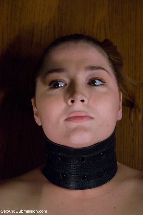 Savannah West: Blonde in Bondage Takes a Dildo and Fingers Herself – photo 3 of 21