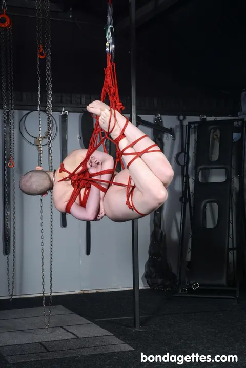 Eryn Rose: Brunette Bound in Rope Bondage with Shaved Skin – photo 17 of 21