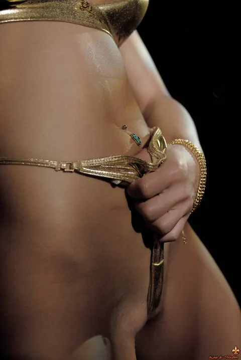 Sharka Blue: Blonde MILF Poses in a Gold Bikini – photo 16 of 16