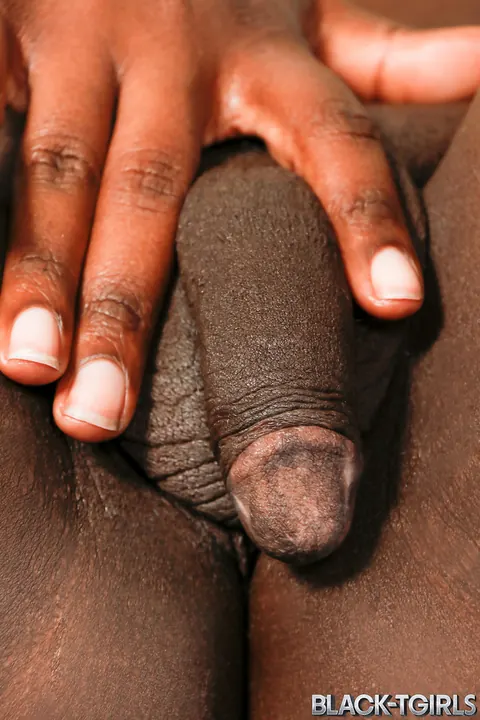 Thick Ebony Trans Woman Sits and Flaunts Her Big Ass – photo 14 of 16