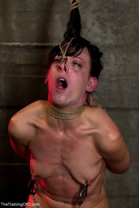 Elise Graves: Brunette with Natural Tits Bound and Uses a Dildo – photo 17 of 21