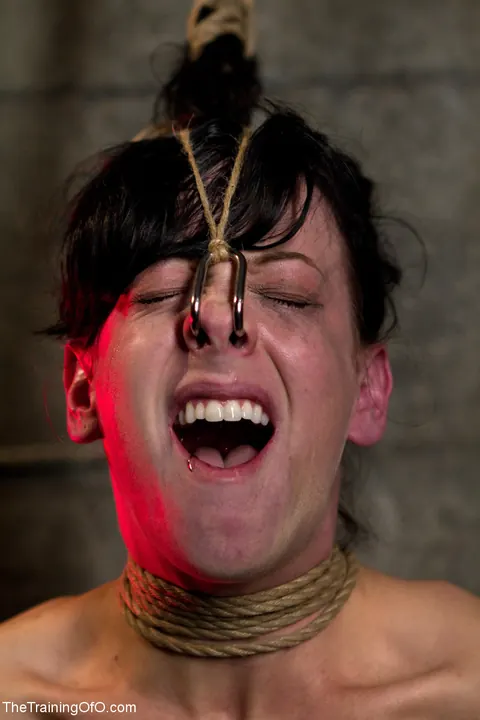 Elise Graves: Brunette with Natural Tits Bound and Uses a Dildo – photo 13 of 21