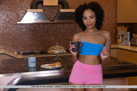 Romy Indy: Tall Blonde Asian Woman Strips Naked on the Kitchen Counter – photo 4 of 18