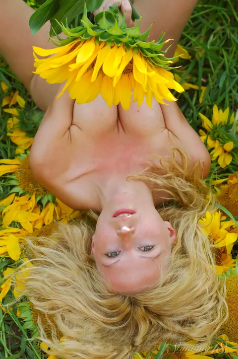Blonde in Panties Poses in a Sunflower Field – photo 11 of 16