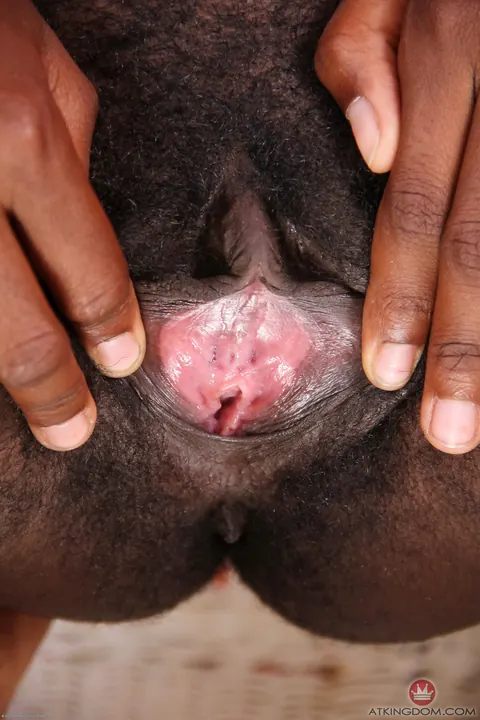 Slim Ebony Babe in a Bikini Pulls Fabric Aside to Spread Her Hairy Bush – photo 21 of 21