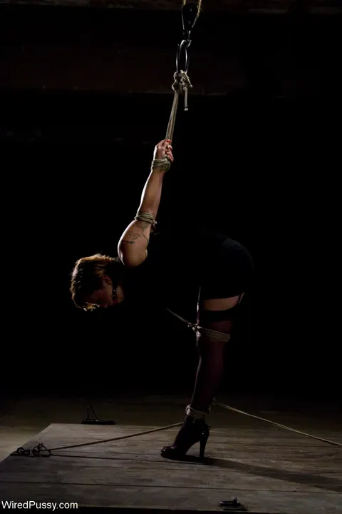 Lorelei Lee: Blonde MILF Dominates and Fists Her Partner in Bondage – photo 2 of 21