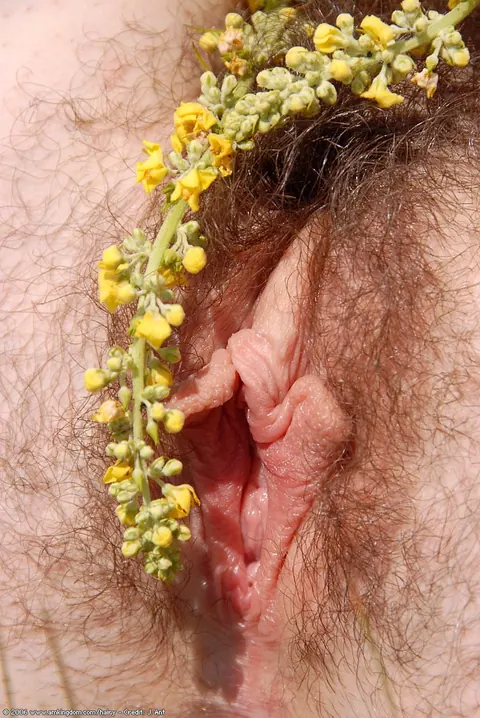 Brunette Shows Her Hairy Bush Outdoors – photo 20 of 21