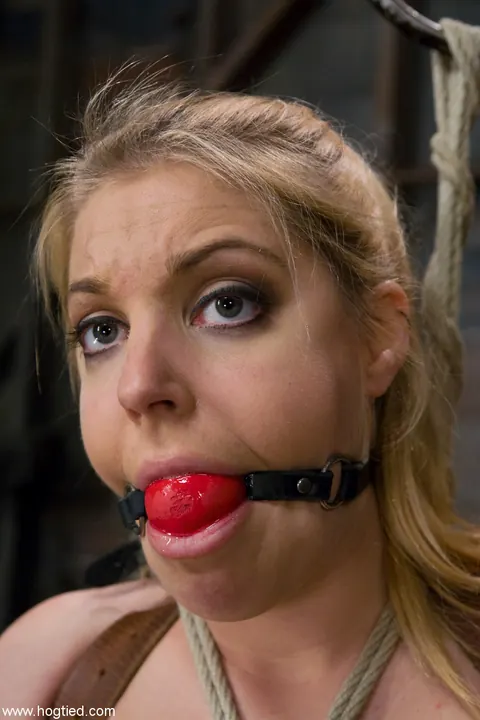 Hollie Stevens: Tall Blonde Hogtied in Bondage Fingers Herself and Uses a Dildo – photo 5 of 21