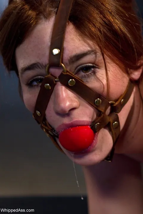 Aiden Starr: Tattooed Blonde and Brunette Lesbians Fuck with a Strap-On and Bondage – photo 17 of 20