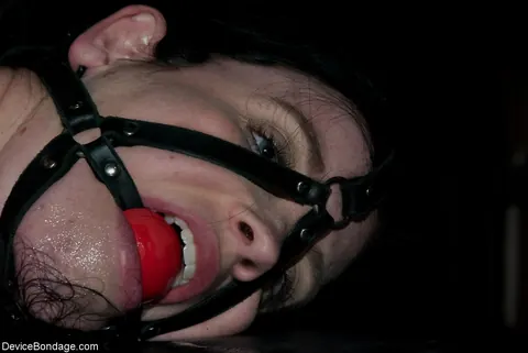 Sybil Hawthorne: Busty Brunette Uses a Dildo in BDSM Session – photo 7 of 20