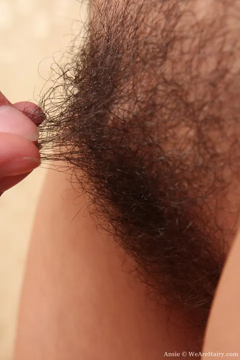 Ansie Rocher: Brunette Shows Off Her Small Tits and Hairy Crotch – photo 8 of 21