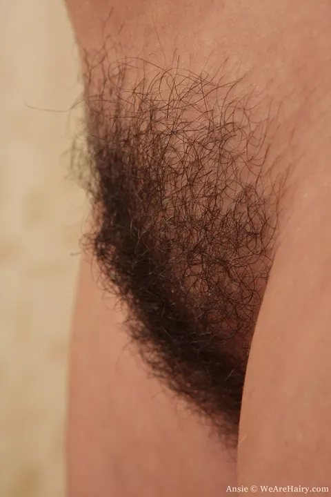 Ansie Rocher: Brunette Shows Off Her Small Tits and Hairy Crotch – photo 7 of 21