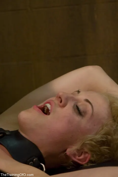 Dylan Ryan: Tall Blonde MILF Gets Bound and Fucked in BDSM – photo 6 of 20