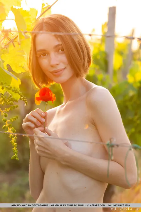 Amy Moloko: Short-Haired Brunette Strips Off Her Skirt in Vineyard – photo 15 of 18