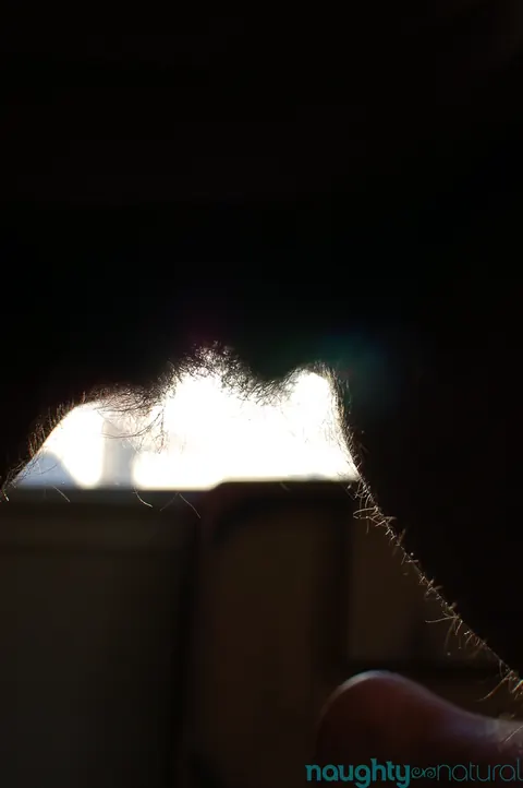 Nikki Silver: Busty Brunette Shows Her Hairy Pussy Nude – photo 5 of 20