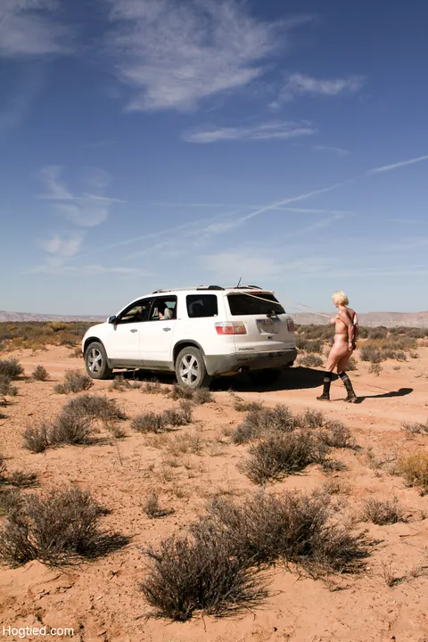 Cherry Torn: Tattooed Blonde with Big Tits Tied to Car in Desert – photo 6 of 20
