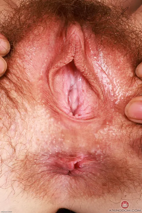 Jessica Marie: Slim Brunette in a Bikini Spreads Her Hairy Asshole – photo 18 of 21