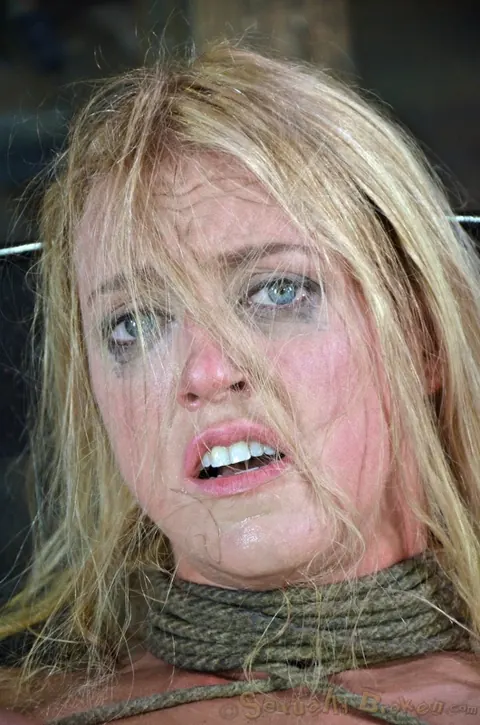 Dee Williams: Curvy Blonde MILF with Big Tits Spreads Wide in Bondage – photo 8 of 16