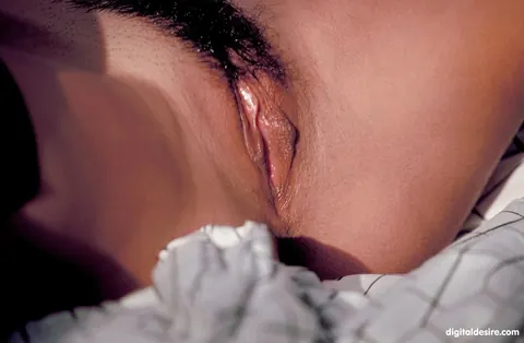 Brunette Strips and Poses Fully Nude for the Camera – photo 7 of 21