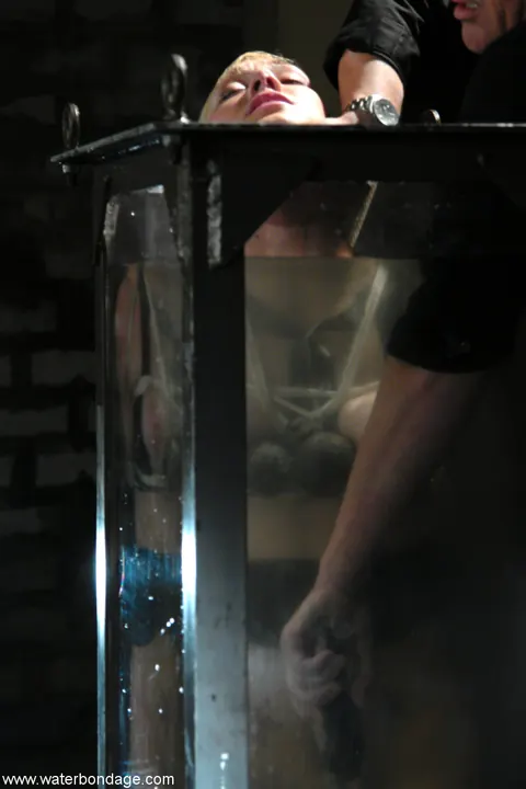 Samantha Sin: Blonde MILF in Heels Endures Water Bondage – photo 19 of 21