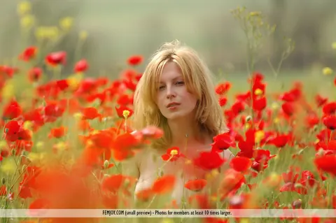 Birgid: Two Busty Blondes Have Lesbian Sex in a Poppy Field – photo 11 of 16