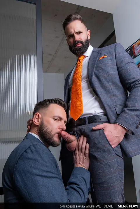 Two Hairy Men Fuck Standing Up and End with a Facial – photo 9 of 21