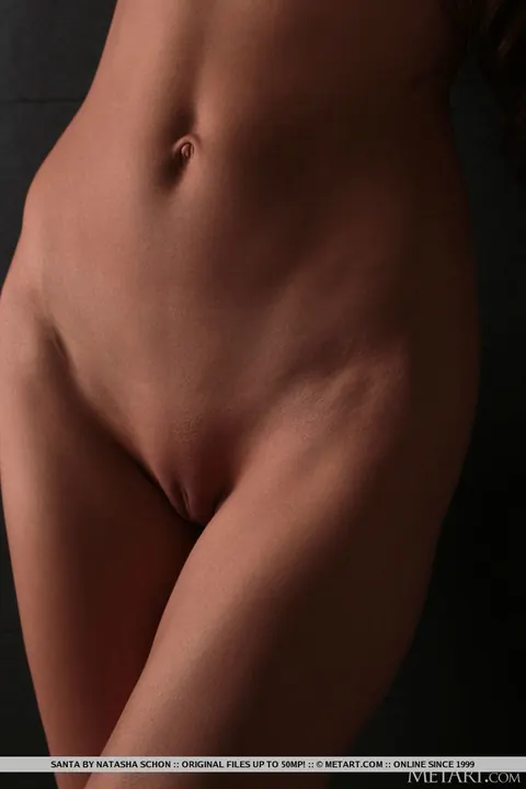 Brunette Strips Out of Her Santa Lingerie and Poses Nude – photo 16 of 18