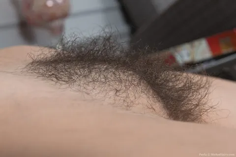 Pavla Amaliya: Busty Brunette in Panties Spreads Her Hairy Bush and Pussy – photo 9 of 16
