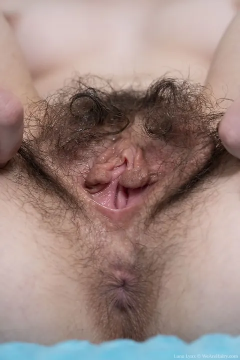 Luna Lynx: Slim Latina Brunette Strips and Shows Her Hairy Pussy – photo 17 of 21