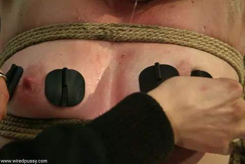 Ariel X: Brunette Dominates Tattooed Partner in Lesbian Bondage Outdoors – photo 11 of 21