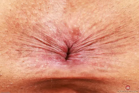 Ari Alectra: Latina Undresses and Spreads Her Shaved Asshole – photo 21 of 21