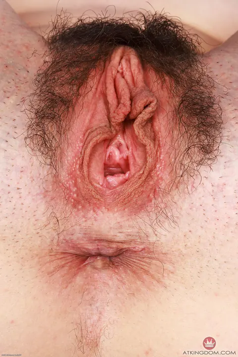 Arielle Lane: Mature Brunette Shows Her Hairy Pussy and Small Tits – photo 14 of 21