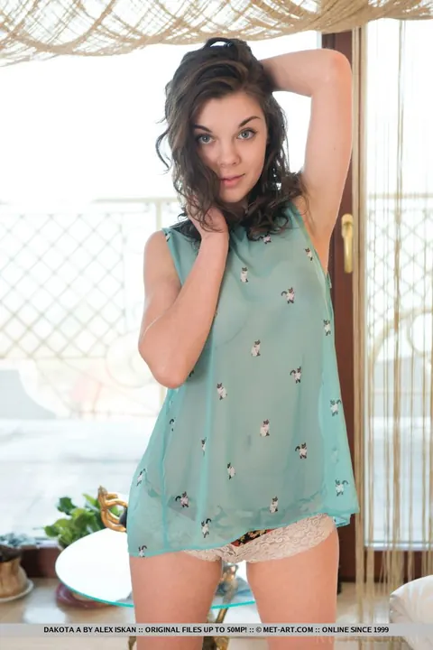 Dakota A: Busty Brunette Shows Her Natural Tits and Hairy Pussy – photo 2 of 18