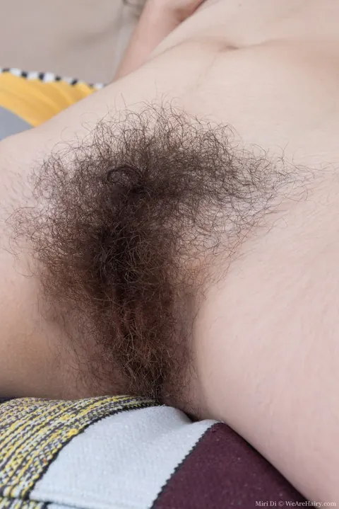 Miri Di: Thick Brunette with Big Natural Tits Strips and Shows Her Hairy Pussy – photo 18 of 20